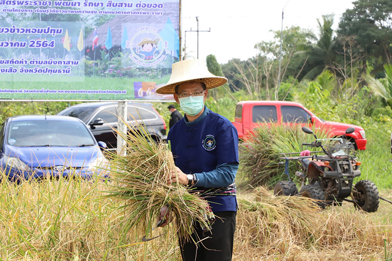 ผู้ว่าฯ หมูป่า ผู้ว่าฯ หมูป่า