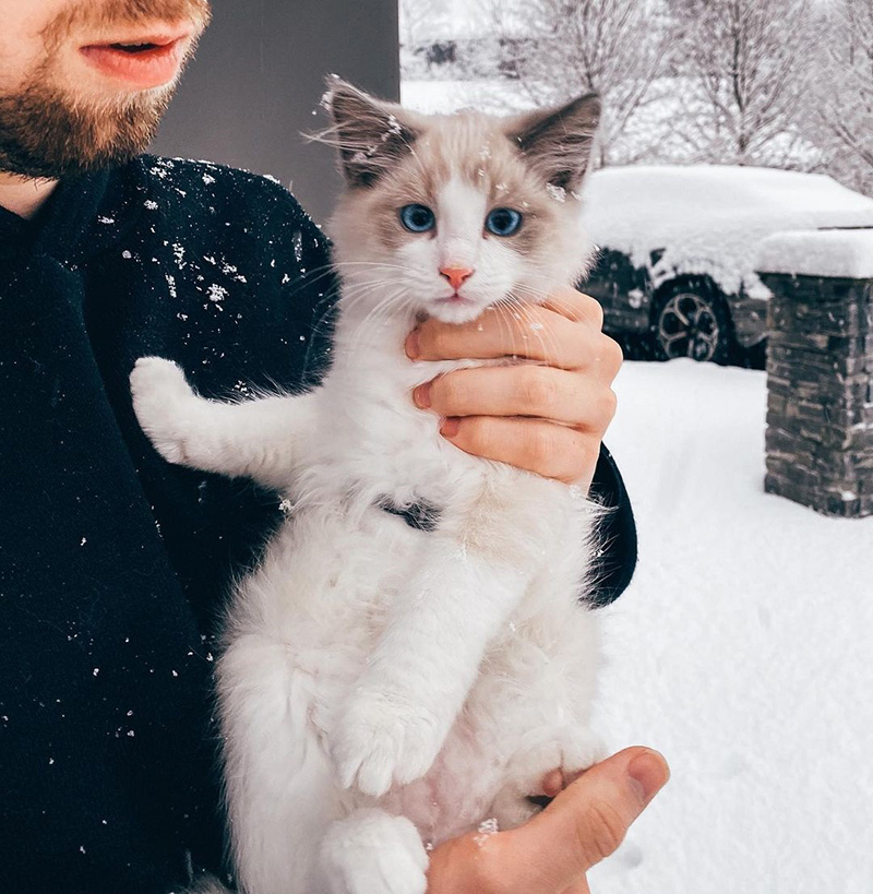 อลัน วอล์กเกอร์ อลัน วอล์กเกอร์