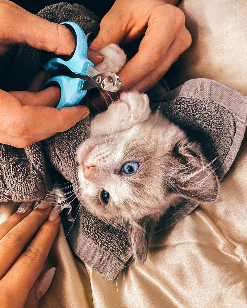 อลัน วอล์กเกอร์ อลัน วอล์กเกอร์