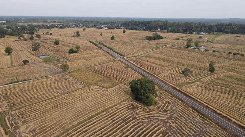 คดีพลิก ! ต้นสังกัดแจงคืออะไร ที่เห็นไม่ใช่ถนนกลางทุ่งนา คดีพลิก ! ต้นสังกัดแจงคืออะไร ที่เห็นไม่ใช่ถนนกลางทุ่งนา