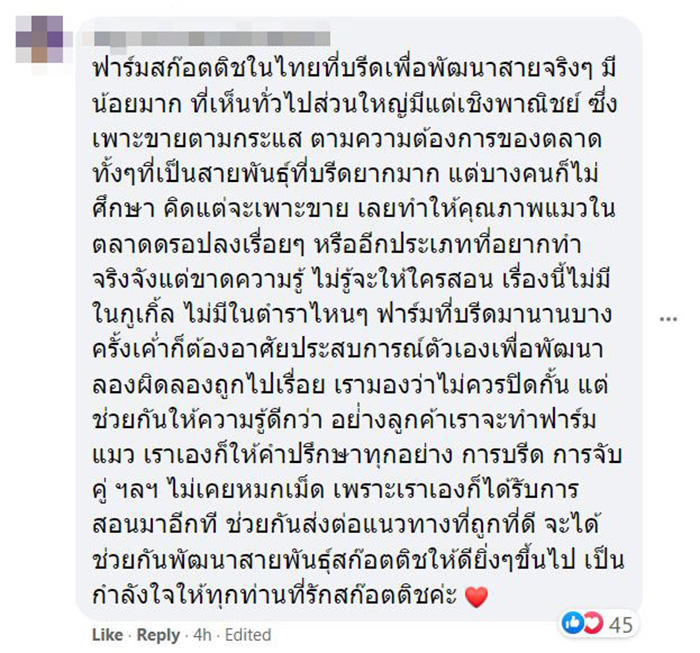 คอมเมนต์ คอมเมนต์