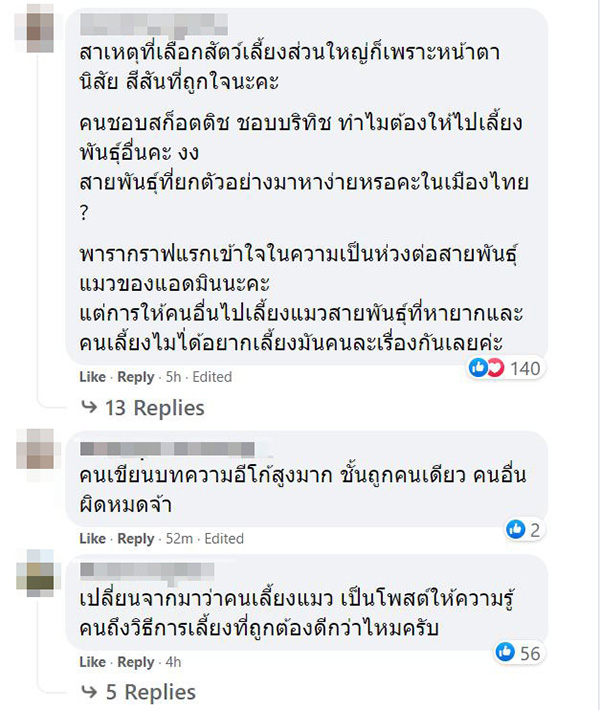 คอมเมนต์ คอมเมนต์