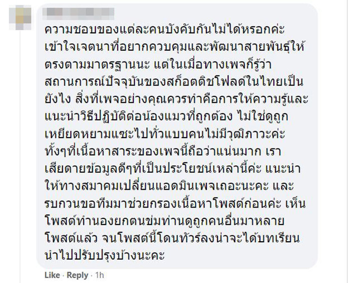 คอมเมนต์ คอมเมนต์