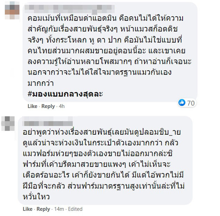 คอมเมนต์ คอมเมนต์