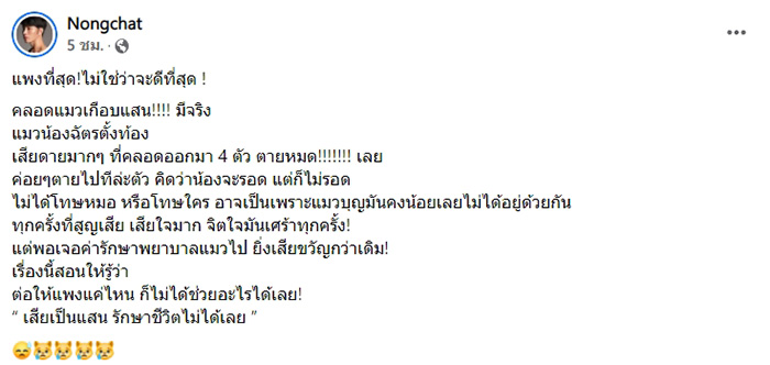 น้องฉัตร น้องฉัตร