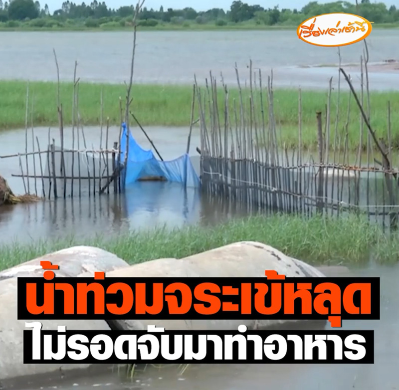 ชาวบ้านเจอจระเข้หลุด ชาวบ้านเจอจระเข้หลุด