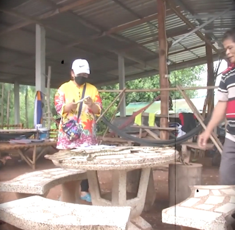 ชาวบ้านเจอจระเข้หลุด ชาวบ้านเจอจระเข้หลุด