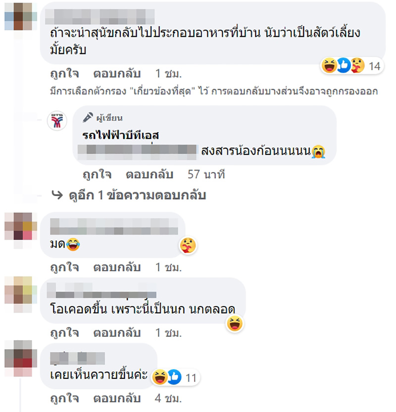 คอมเมนต์ คอมเมนต์