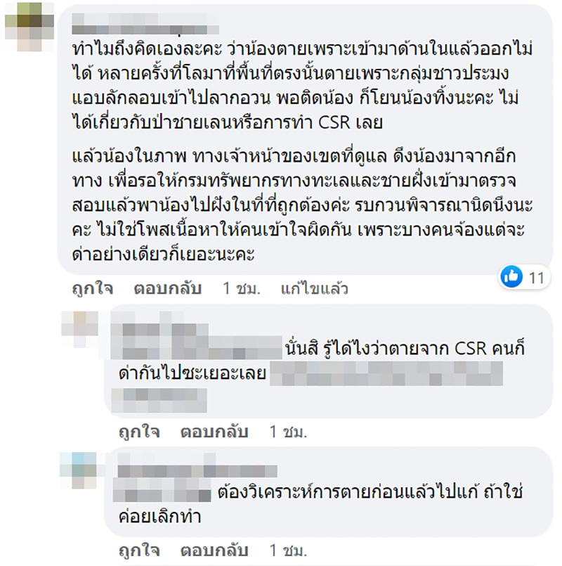 คอมเมนต์ คอมเมนต์