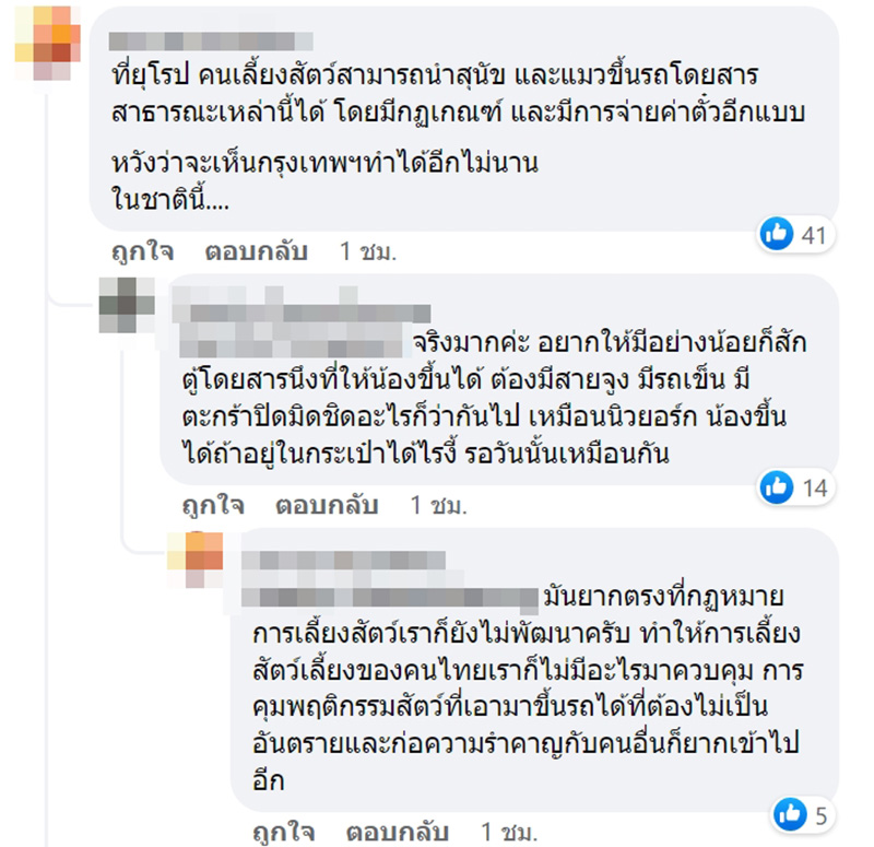 คอมเมนต์ คอมเมนต์