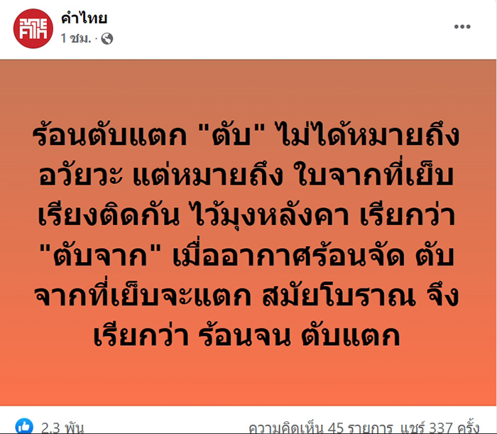 เพจ เพจ