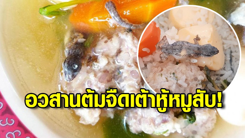 จิ้งจกถูกต้มจนเปื่อย...อ้วกแทบพุ่ง จิ้งจกถูกต้มจนเปื่อย...อ้วกแทบพุ่ง