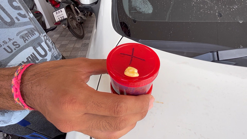 หนุ่มมักแจ่วบอง กินจนคำสุดท้าย เคี้ยวเจอสิ่งปริศนา หนุ่มมักแจ่วบอง กินจนคำสุดท้าย เคี้ยวเจอสิ่งปริศนา