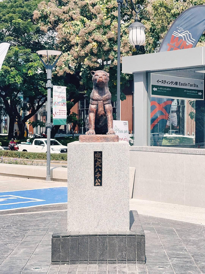 คนเชียงใหม่ ถึงกับงง รูปปั้นหมาผู้ซื่อสัตย์ ฮาจิโกะ คนเชียงใหม่ ถึงกับงง รูปปั้นหมาผู้ซื่อสัตย์ ฮาจิโกะ