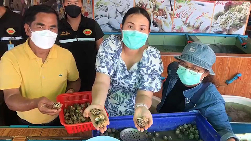 ดราม่า... หอยหวานแพงกว่ากุ้งมังกร จานละ 1,530 ดราม่า... หอยหวานแพงกว่ากุ้งมังกร จานละ 1,530