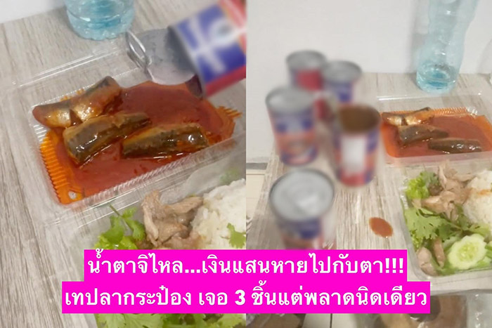 ปลากระป๋อง ปลากระป๋อง