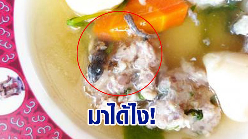 จิ้งจกถูกต้มจนเปื่อย...อ้วกแทบพุ่ง จิ้งจกถูกต้มจนเปื่อย...อ้วกแทบพุ่ง