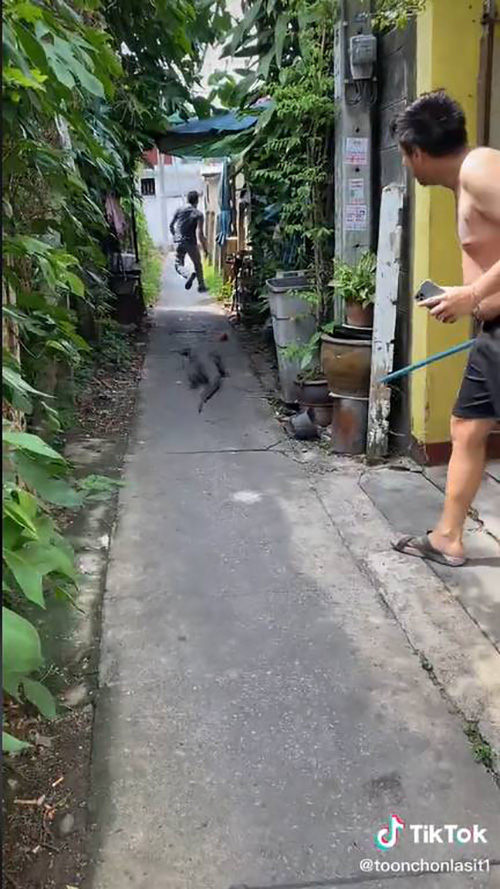 ถึงกับร้องเXย !! เมื่อแก๊งชายฉกรรจ์ต้องมารุมจับแขกไม่ได้รับเชิญ ถึงกับร้องเXย !! เมื่อแก๊งชายฉกรรจ์ต้องมารุมจับแขกไม่ได้รับเชิญ