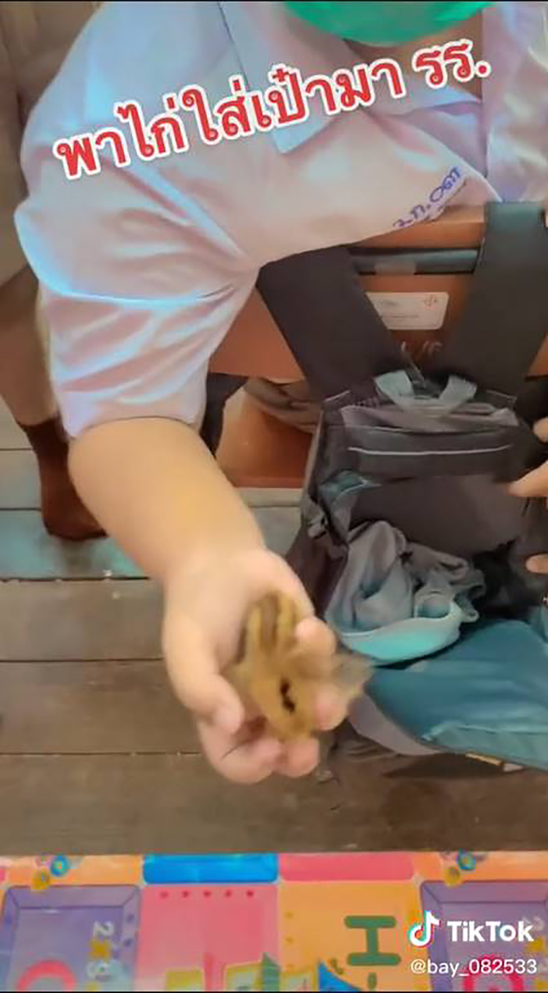 เจ้าหนูกระเป๋าตุงแปลก ๆ แถมมีเสียง ครูขอดูถึงกับขำลั่น เจ้าหนูกระเป๋าตุงแปลก ๆ แถมมีเสียง ครูขอดูถึงกับขำลั่น