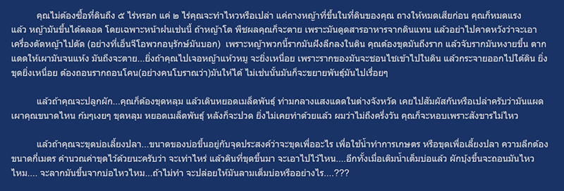 คอมเมนต์ คอมเมนต์