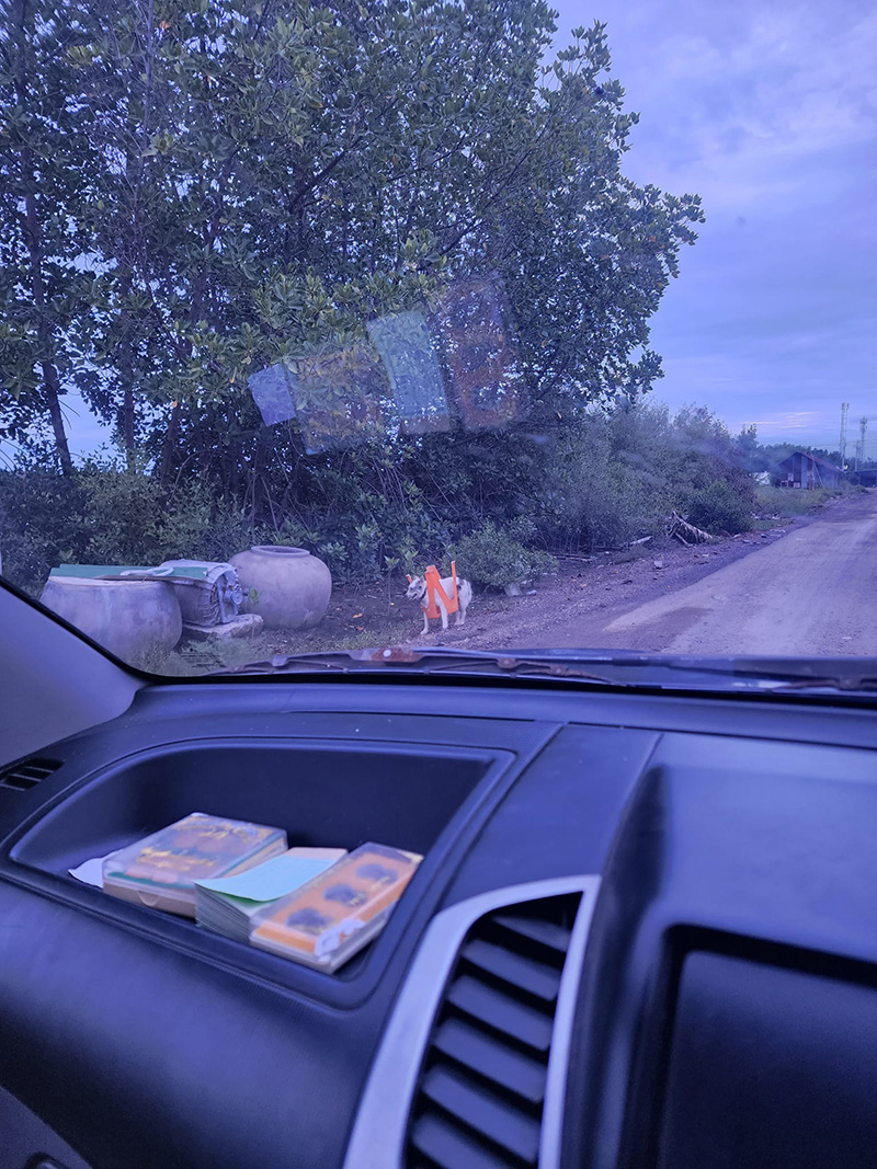 ไวรัลฮา ๆ เมื่อน้องหมาตัวแสบ เจอเจ้าของสู้กลับ ไวรัลฮา ๆ เมื่อน้องหมาตัวแสบ เจอเจ้าของสู้กลับ