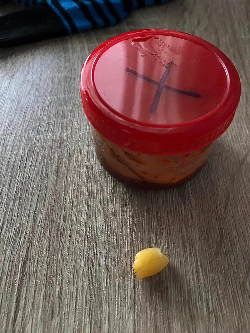 หนุ่มมักแจ่วบอง กินจนคำสุดท้าย เคี้ยวเจอสิ่งปริศนา หนุ่มมักแจ่วบอง กินจนคำสุดท้าย เคี้ยวเจอสิ่งปริศนา