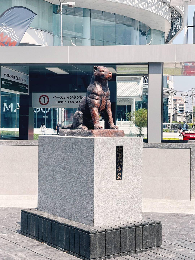 คนเชียงใหม่ ถึงกับงง รูปปั้นหมาผู้ซื่อสัตย์ ฮาจิโกะ คนเชียงใหม่ ถึงกับงง รูปปั้นหมาผู้ซื่อสัตย์ ฮาจิโกะ