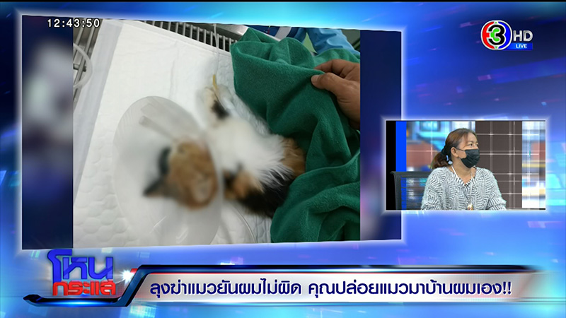 ลุงเล่านาทีจับแมวฟาดเสาจนตาย ลุงเล่านาทีจับแมวฟาดเสาจนตาย