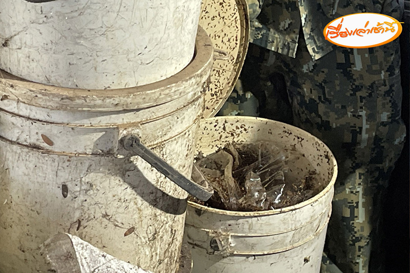 บุกสำนักพระบิดา เจอจุดผลิตปลาร้าขาย หนอนไต่ยั้วเยี้ย บุกสำนักพระบิดา เจอจุดผลิตปลาร้าขาย หนอนไต่ยั้วเยี้ย