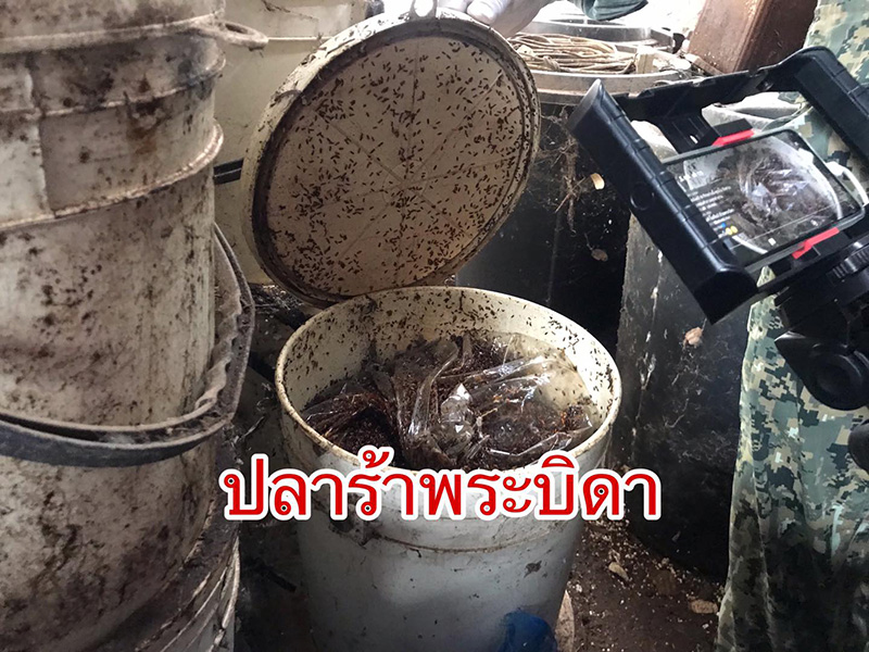 เปิดผลิตภัณฑ์อาหารสำนักพระบิดา เปิดผลิตภัณฑ์อาหารสำนักพระบิดา