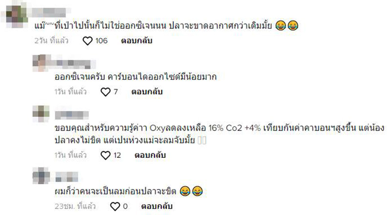 คอมเมนต์ คอมเมนต์