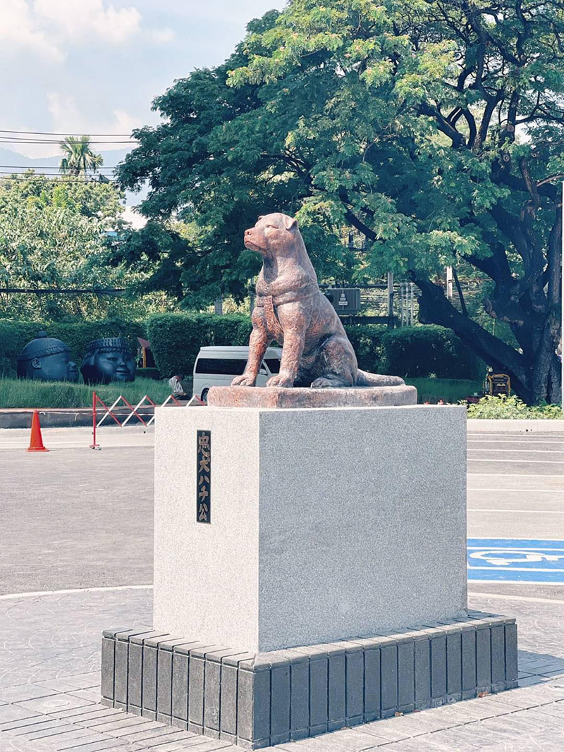 คนเชียงใหม่ ถึงกับงง รูปปั้นหมาผู้ซื่อสัตย์ ฮาจิโกะ คนเชียงใหม่ ถึงกับงง รูปปั้นหมาผู้ซื่อสัตย์ ฮาจิโกะ