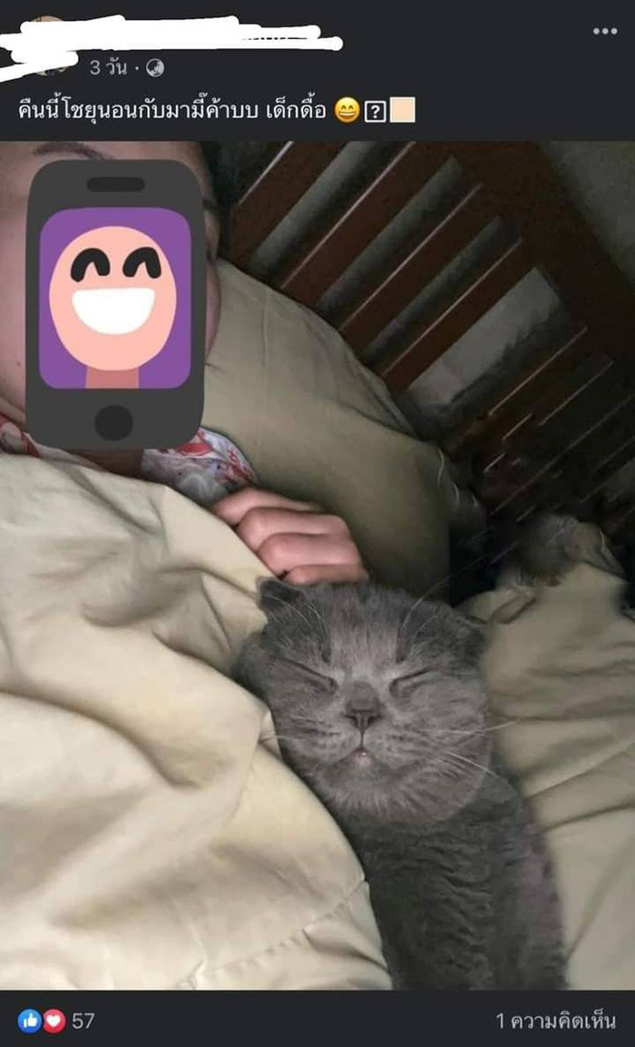 สาวตามหาแมวหาย รู้ทีหลังว่าแฟนขโมยไปขาย สาวตามหาแมวหาย รู้ทีหลังว่าแฟนขโมยไปขาย