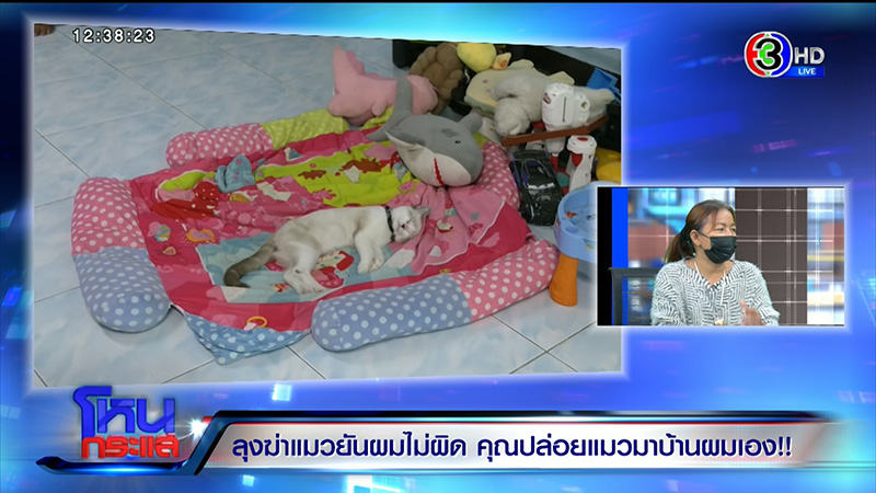 ลุงเล่านาทีจับแมวฟาดเสาจนตาย ลุงเล่านาทีจับแมวฟาดเสาจนตาย