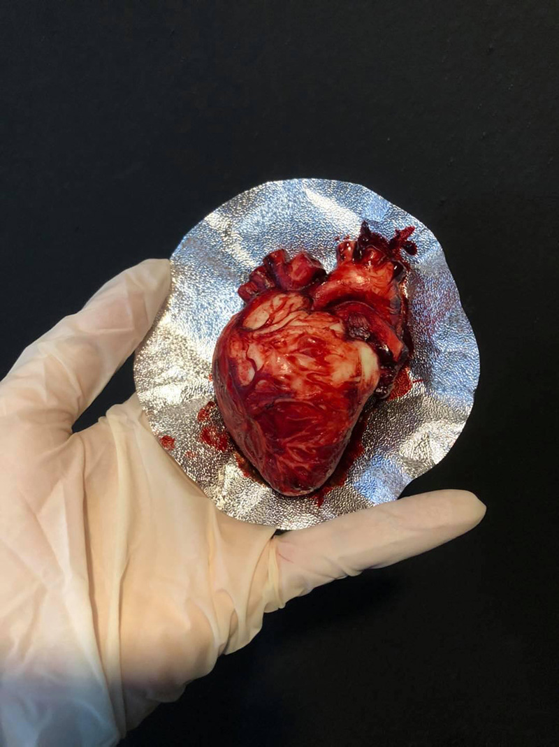 วาเลนไทน์สยอง เค้กหัวใจแบบหัวใจคนจริง ๆ วาเลนไทน์สยอง เค้กหัวใจแบบหัวใจคนจริง ๆ