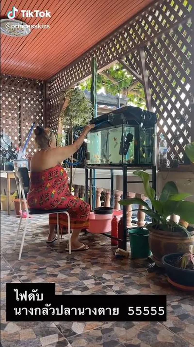 แม่กลัวปลาตาย แม่กลัวปลาตาย