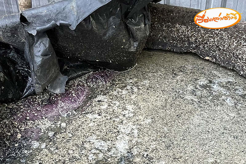 บุกสำนักพระบิดา เจอจุดผลิตปลาร้าขาย หนอนไต่ยั้วเยี้ย บุกสำนักพระบิดา เจอจุดผลิตปลาร้าขาย หนอนไต่ยั้วเยี้ย