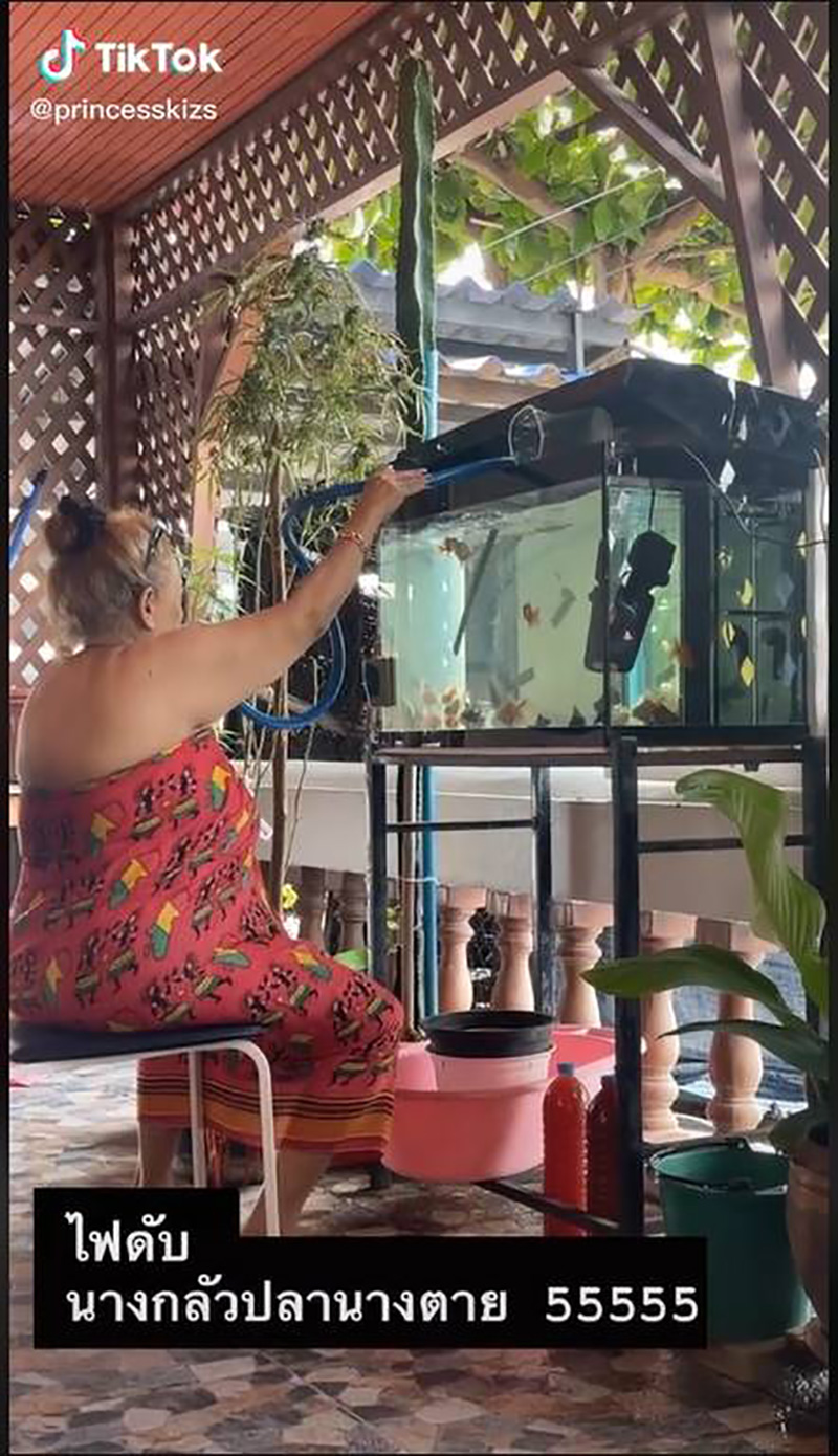 แม่กลัวปลาตาย แม่กลัวปลาตาย