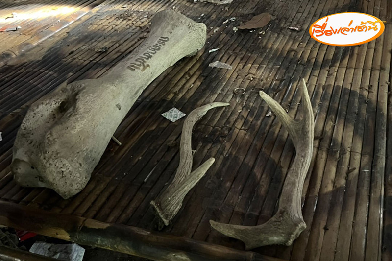 บุกสำนักพระบิดา เจอจุดผลิตปลาร้าขาย หนอนไต่ยั้วเยี้ย บุกสำนักพระบิดา เจอจุดผลิตปลาร้าขาย หนอนไต่ยั้วเยี้ย