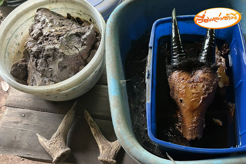 บุกสำนักพระบิดา เจอจุดผลิตปลาร้าขาย หนอนไต่ยั้วเยี้ย บุกสำนักพระบิดา เจอจุดผลิตปลาร้าขาย หนอนไต่ยั้วเยี้ย