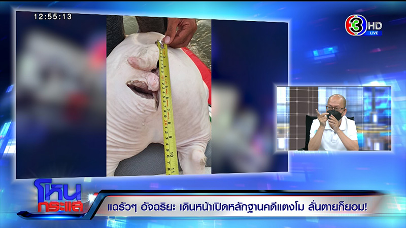 อัจฉริยะ แฉที่มาแผลเพิ่มที่ขา แตงโม ฟาดปากด่า ทนายเดชา อัจฉริยะ แฉที่มาแผลเพิ่มที่ขา แตงโม ฟาดปากด่า ทนายเดชา