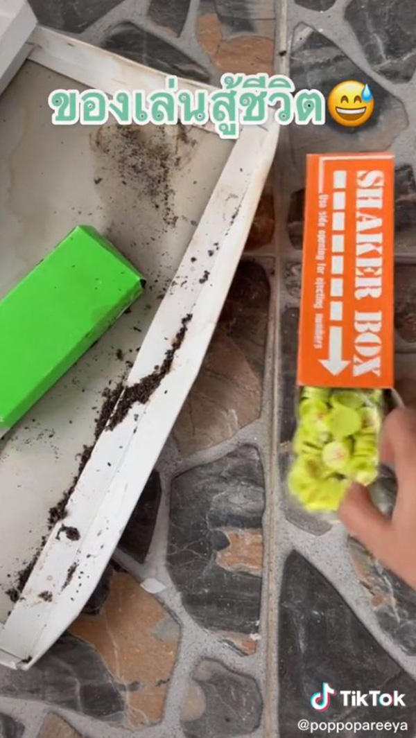 ไวรัลของเล่นสู้ชีวิต ไวรัลของเล่นสู้ชีวิต