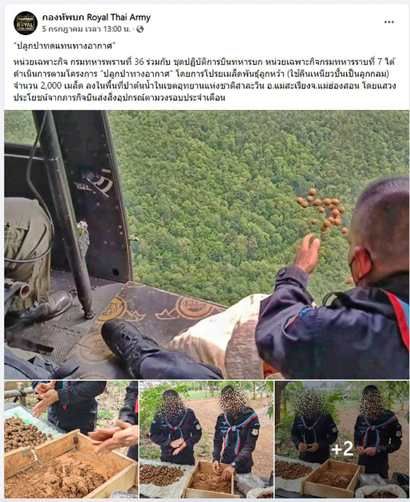 ทบ. ทำภารกิจบินโปรยเมล็ดพันธุ์ลูกหว้า ทบ. ทำภารกิจบินโปรยเมล็ดพันธุ์ลูกหว้า