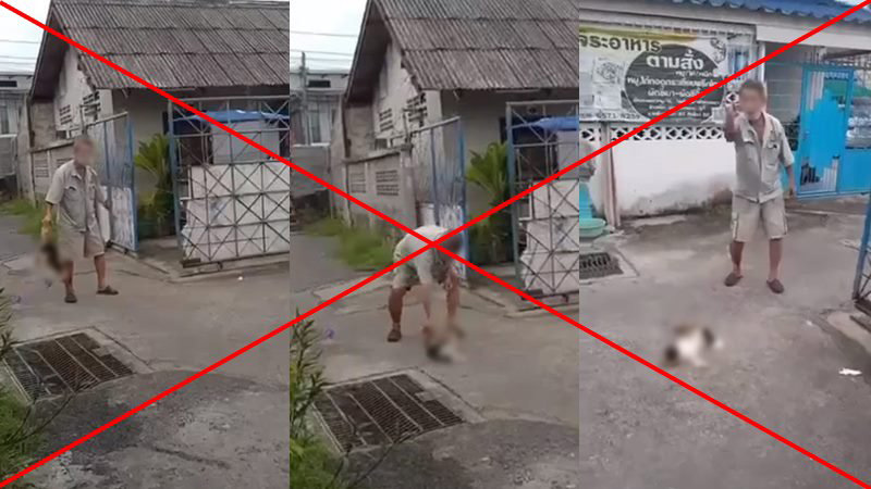 ลุงเล่านาทีจับแมวฟาดเสาจนตาย ลุงเล่านาทีจับแมวฟาดเสาจนตาย