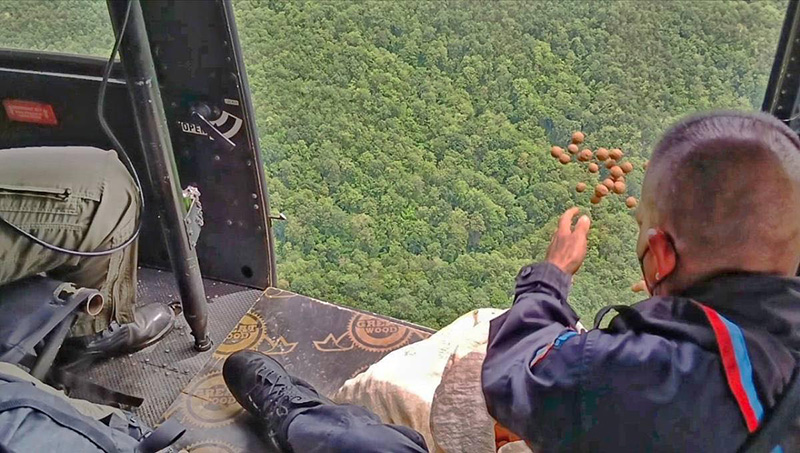 ทบ. ทำภารกิจบินโปรยเมล็ดพันธุ์ลูกหว้า ทบ. ทำภารกิจบินโปรยเมล็ดพันธุ์ลูกหว้า