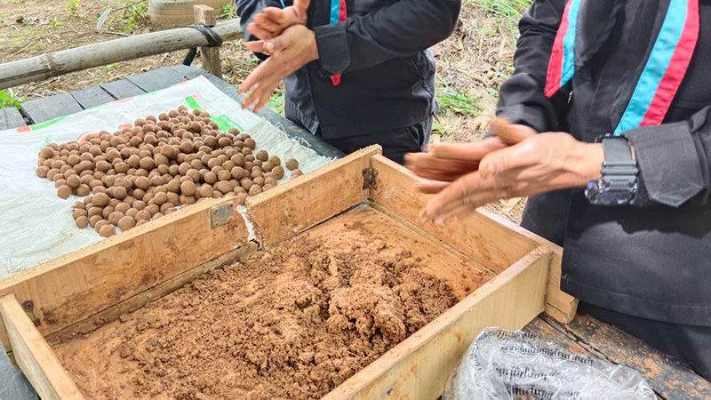 ทบ. ทำภารกิจบินโปรยเมล็ดพันธุ์ลูกหว้า ทบ. ทำภารกิจบินโปรยเมล็ดพันธุ์ลูกหว้า