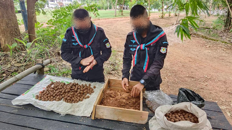 ทบ. ทำภารกิจบินโปรยเมล็ดพันธุ์ลูกหว้า ทบ. ทำภารกิจบินโปรยเมล็ดพันธุ์ลูกหว้า