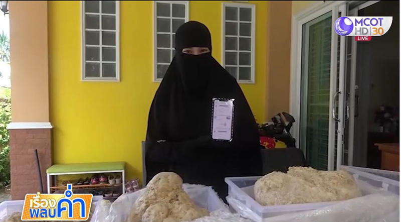 อำพันทะเลยักษ์ 30 กก. อำพันทะเลยักษ์ 30 กก.