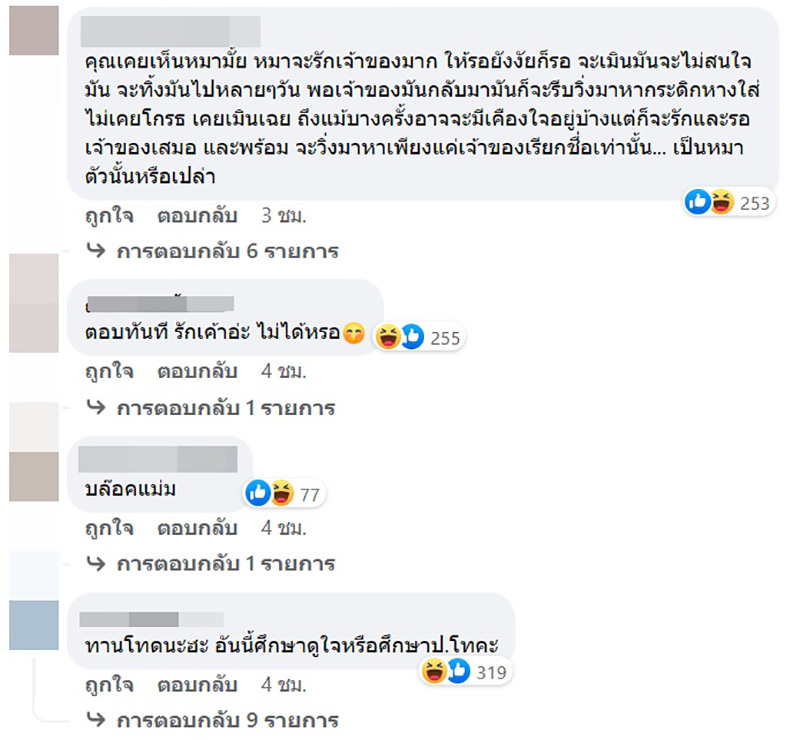 คอมเมนต์ คอมเมนต์
