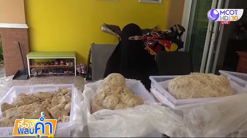 อำพันทะเลยักษ์ 30 กก. อำพันทะเลยักษ์ 30 กก.